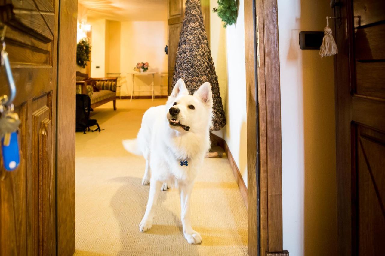 Hotel Lyshaus Gressoney-Saint-Jean Εξωτερικό φωτογραφία